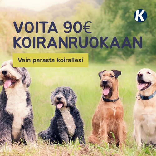 Voita 1400 euron risteilylahjakortti